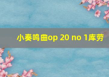 小奏鸣曲op 20 no 1库劳